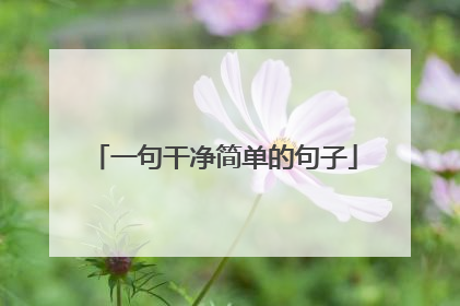 一句干净简单的句子