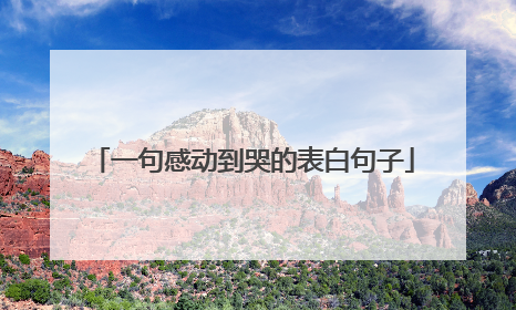 一句感动到哭的表白句子