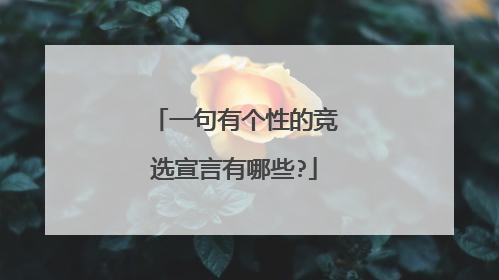 一句有个性的竞选宣言有哪些?