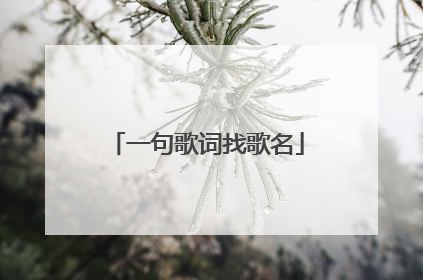 一句歌词找歌名