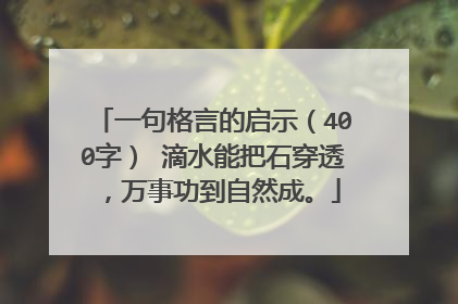 一句格言的启示(400字) 滴水能把石穿透,万事功到自然成。