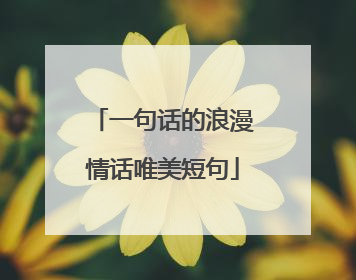 一句话的浪漫情话唯美短句