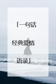 一句话经典爱情语录