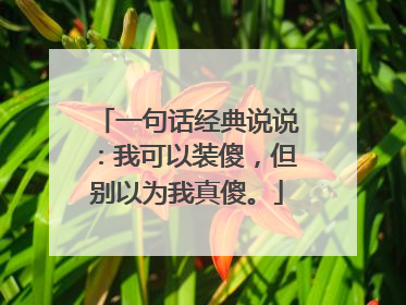 一句话经典说说：我可以装傻，但别以为我真傻。