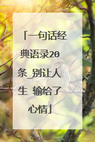 一句话经典语录20条_别让人生 输给了心情