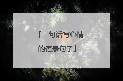 一句话写心情的语录句子