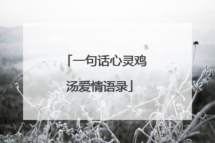 一句话心灵鸡汤爱情语录