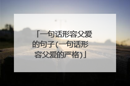 一句话形容父爱的句子(一句话形容父爱的严格)