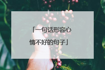一句话形容心情不好的句子