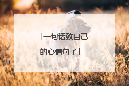 一句话致自己的心情句子