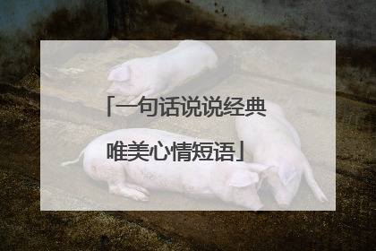 一句话说说经典唯美心情短语