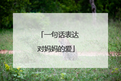 一句话表达对妈妈的爱