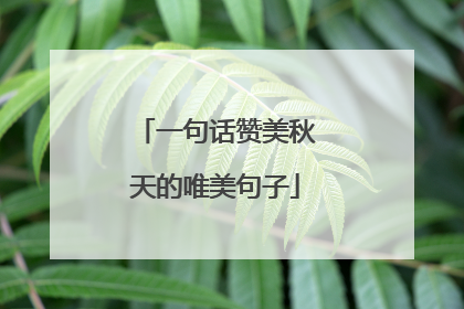一句话赞美秋天的唯美句子
