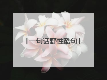 一句话野性酷句