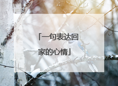一句表达回家的心情
