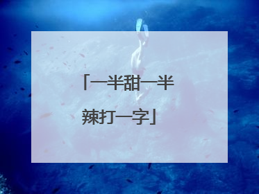 一半甜一半辣打一字