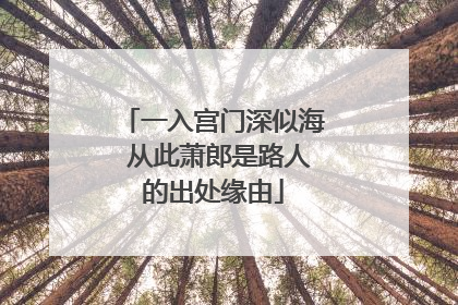一入宫门深似海 从此萧郎是路人的出处缘由