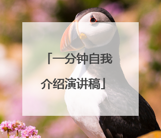 一分钟自我介绍演讲稿