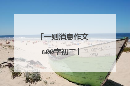 一则消息作文600字初二