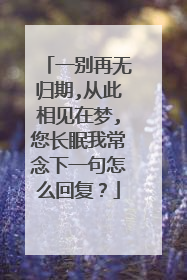 一别再无归期,从此相见在梦,您长眠我常念下一句怎么回复？