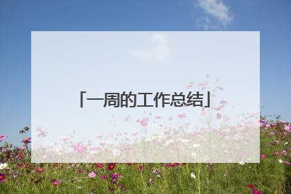一周的工作总结