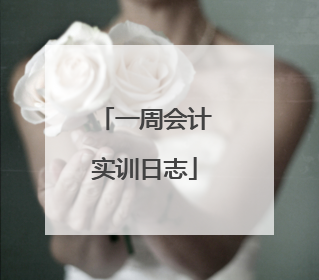 一周会计实训日志