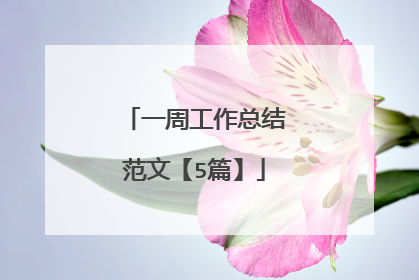 一周工作总结范文【5篇】