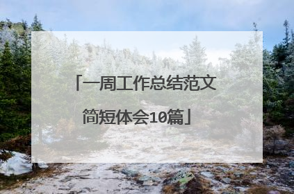 一周工作总结范文简短体会10篇