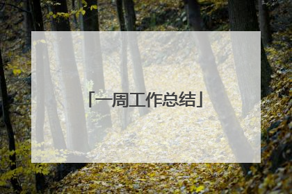 一周工作总结
