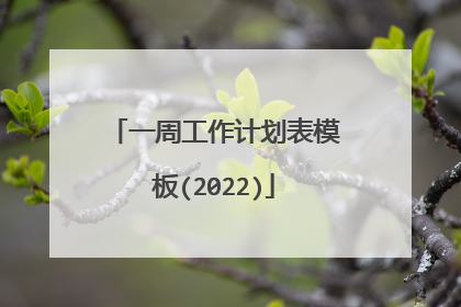 一周工作计划表模板(2022)