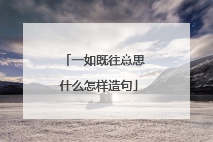 一如既往意思什么怎样造句