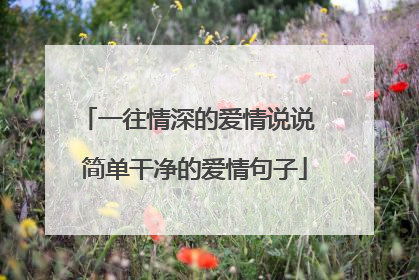 一往情深的爱情说说 简单干净的爱情句子