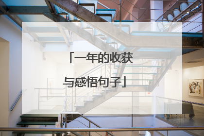 一年的收获与感悟句子