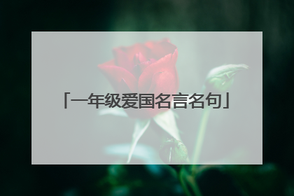 一年级爱国名言名句
