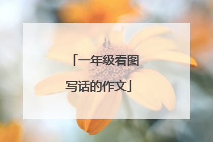 一年级看图写话的作文