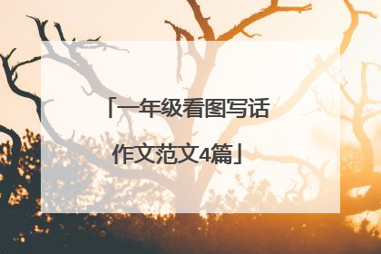 一年级看图写话作文范文4篇
