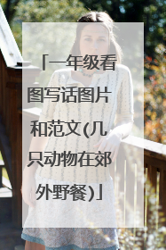 一年级看图写话图片和范文(几只动物在郊外野餐)