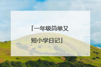 一年级简单又短小学日记