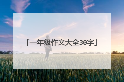 一年级作文大全30字