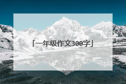 一年级作文300字