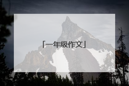 一年级作文