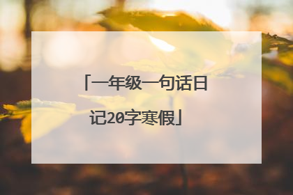 一年级一句话日记20字寒假