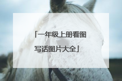 一年级上册看图写话图片大全