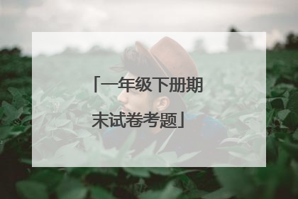 一年级下册期末试卷考题
