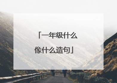 一年级什么像什么造句