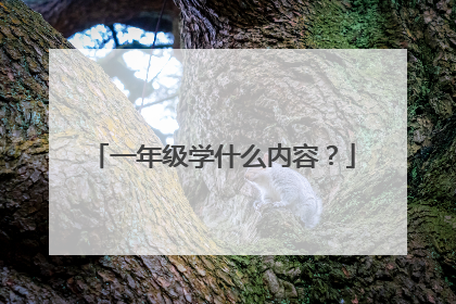 一年级学什么内容?