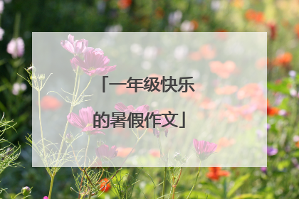 一年级快乐的暑假作文