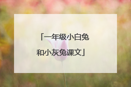 一年级小白兔和小灰兔课文