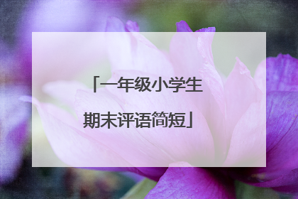 一年级小学生期末评语简短