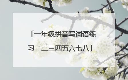 一年级拼音写词语练习一二三四五六七八